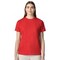 Unisex Short Sleeve Crewneck Cotton T-Shirt for Casual, Daily & Layered Comfort Wear